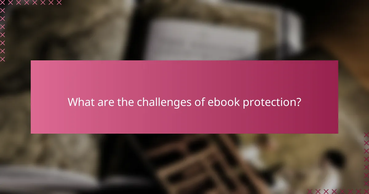 What are the challenges of ebook protection?