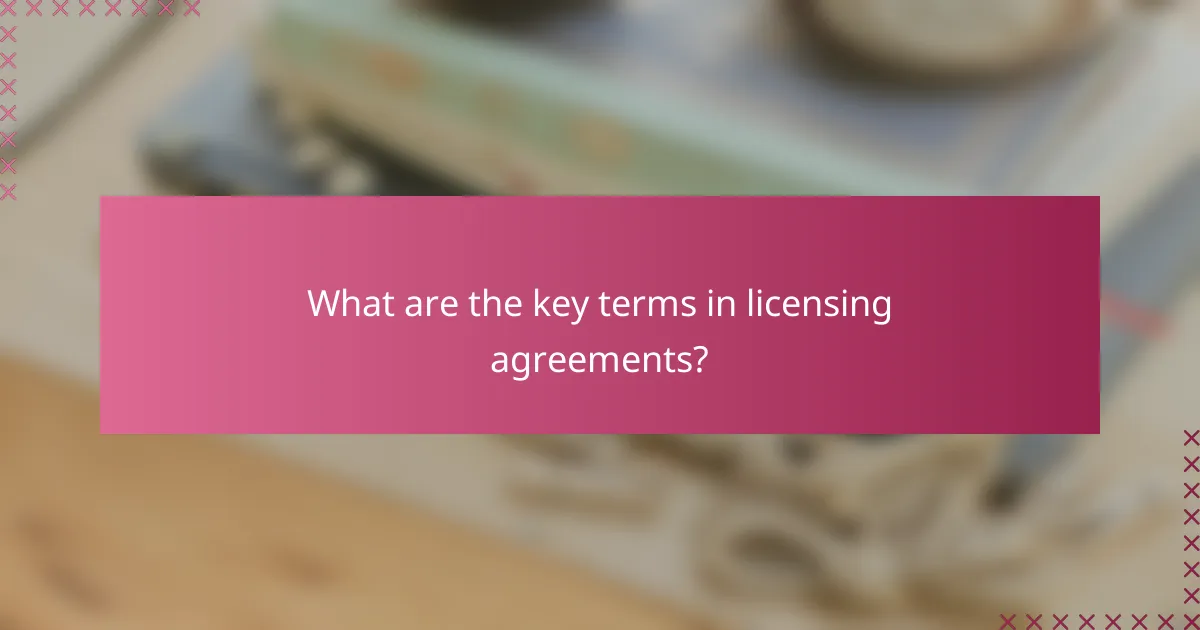 What are the key terms in licensing agreements?