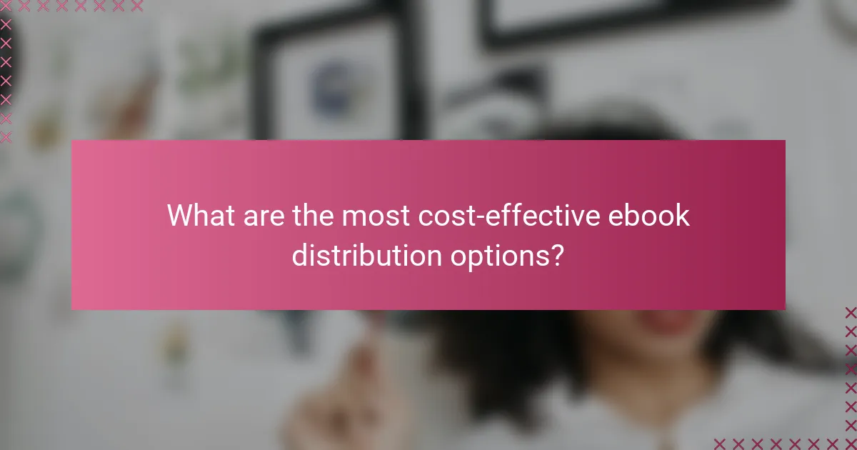 What are the most cost-effective ebook distribution options?